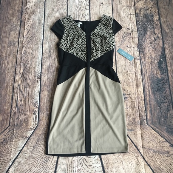 London Times Dresses & Skirts - London Times Black and Taupe Dress - Size 8